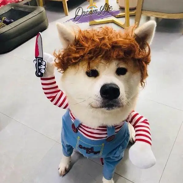 loween Costume trasformativo Divertente vestito per cagnolino Cani di piccola a media taglia Cisas Costume alla moda Vestiti per animali domestici