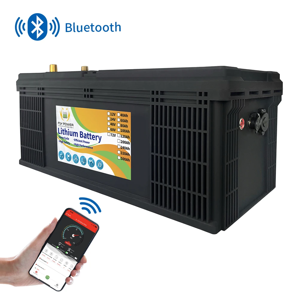 EU Stock Bluetooth 12v 200Ah 24v 100Ah 2560Wh Lifepo4 batteria al litio ferro fosfato RV con BMS con caricabatterie