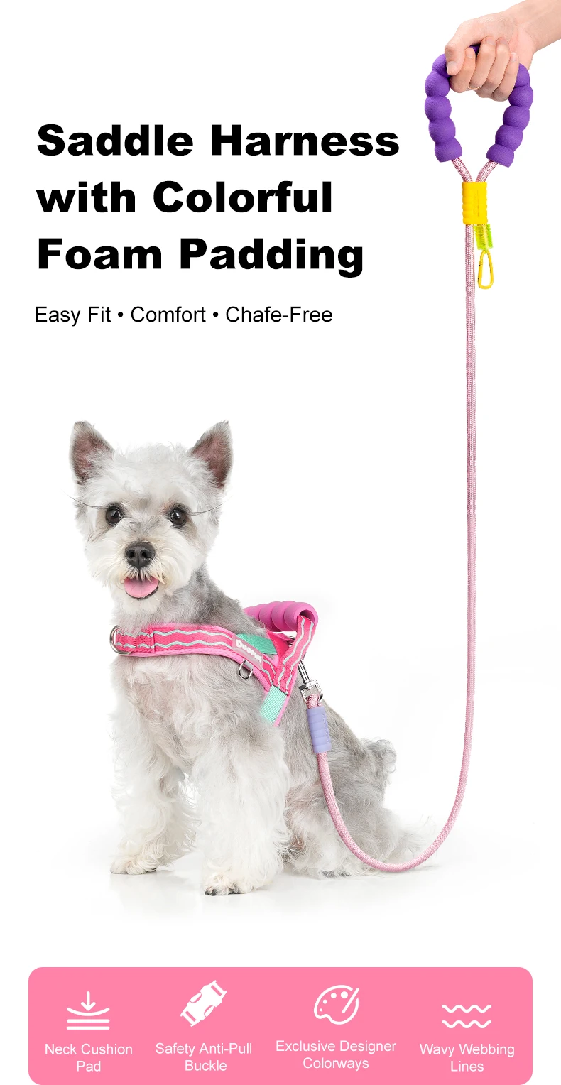 Comfortable Padded Dog Harness For Walking And Lifting Outdoor_voghion.com