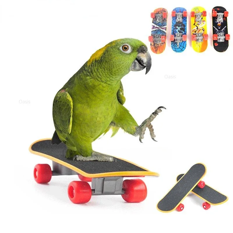

Bird Toy Canary Skateboard Parrot Training Skateboard Bird Supplies Skates Lovebird Canaries Perch for Parrots For Birds Toy Acc