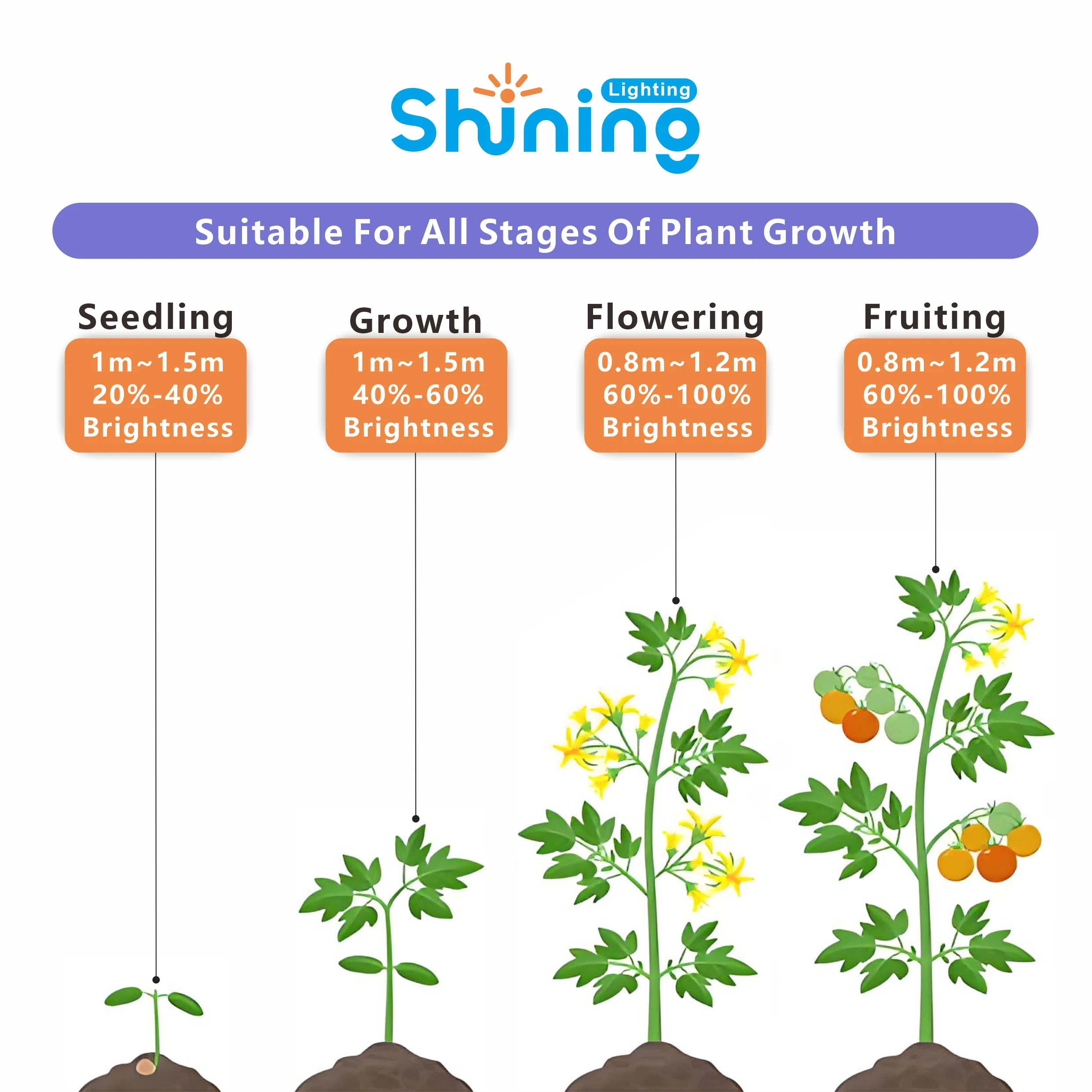 Shining Lighting Full Spectrum LED Grow Light 800W/1000W/1200W for Seedling, Flowering, Fruiting – Indoor Plants, Greenhouse