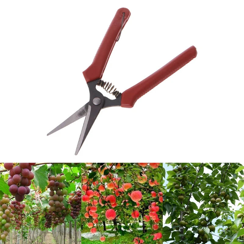 F92C Acier en carbone pour les ciseaux jardinage à tête coupant les cisaillements branche baignade