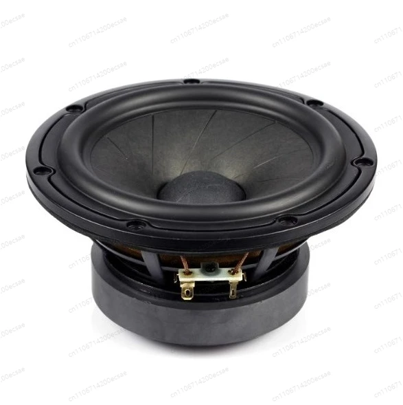 

6.5 inch watermelon rind paper plate medium bass speaker household HIFI