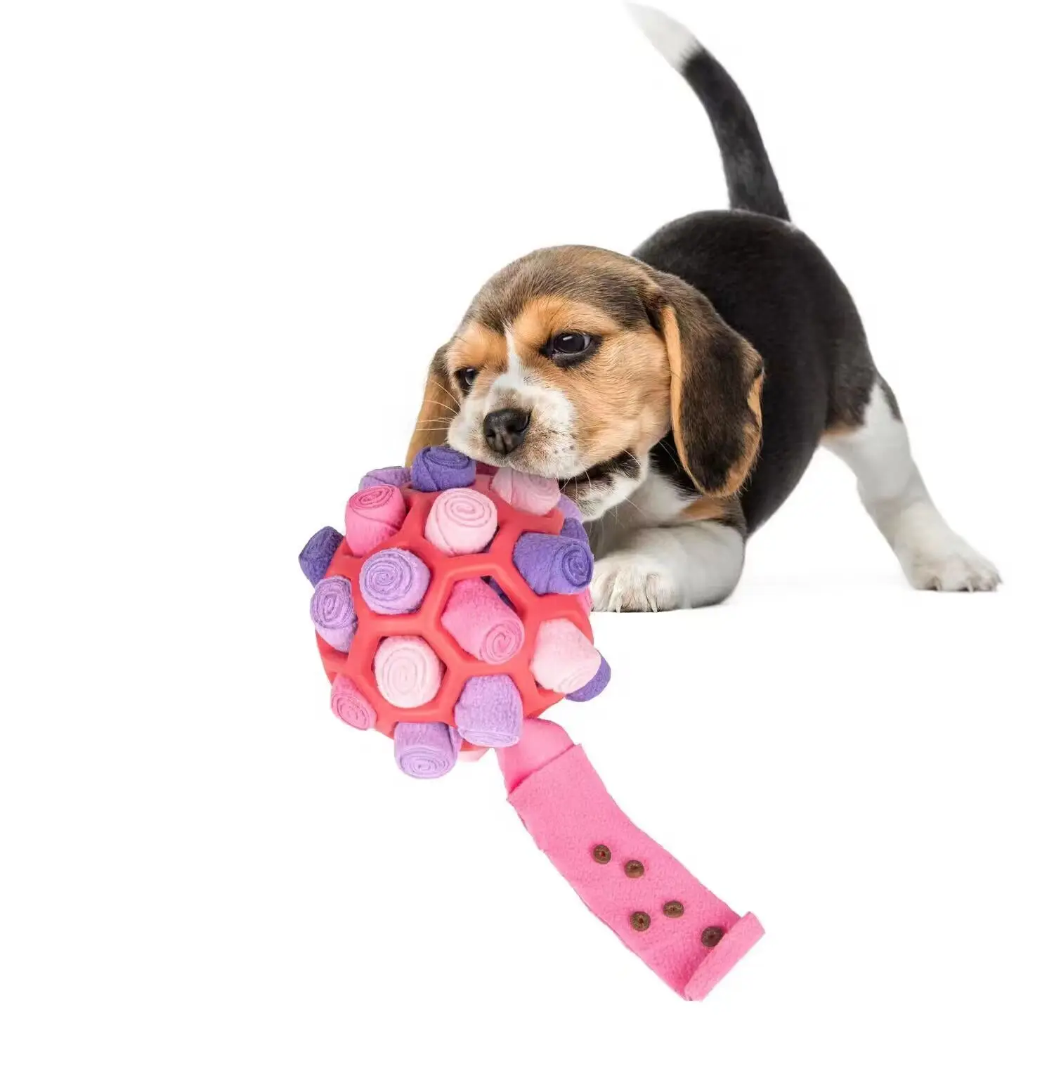 Pet Dog Toys For Aggressive Chewers Indestructible Fried Smell Ball Blind Box Hidden Food Puzzle To Prevent Demolition