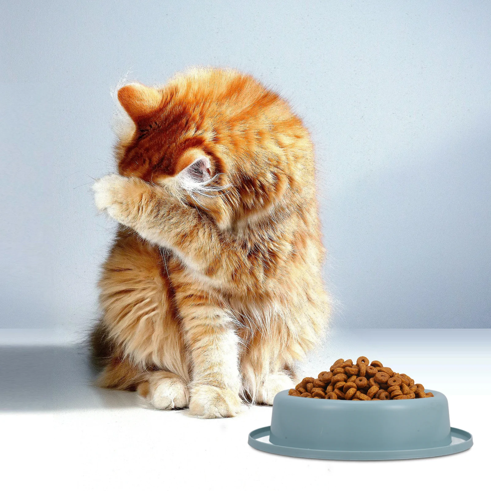 

Small Slow Feeder Pet Bowl Anti-Choking Durable Weighted Bottom Dog Cat Food Water Feeding Bowl Safe Slow Eating Maze Design