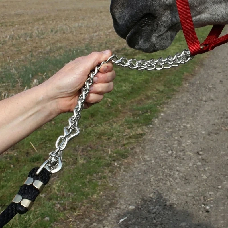  Replacement Equine Horse Leads Chain For Effective Control And Long Terms Use