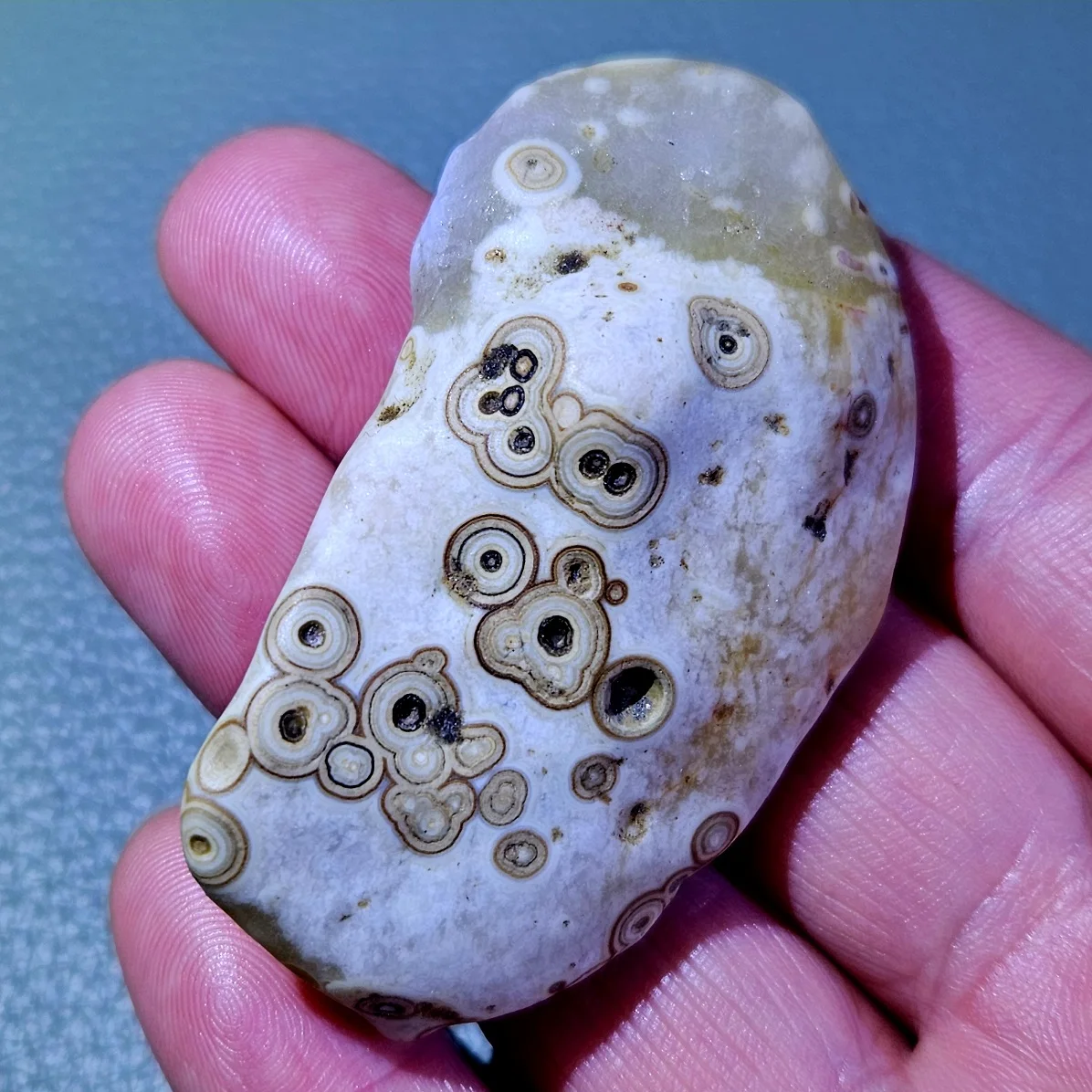 Fortune Bringing Natural Ocean Jasper Palm Stone Madagascar Orbicular Eye Crystal Luck Wealth Energy Stone