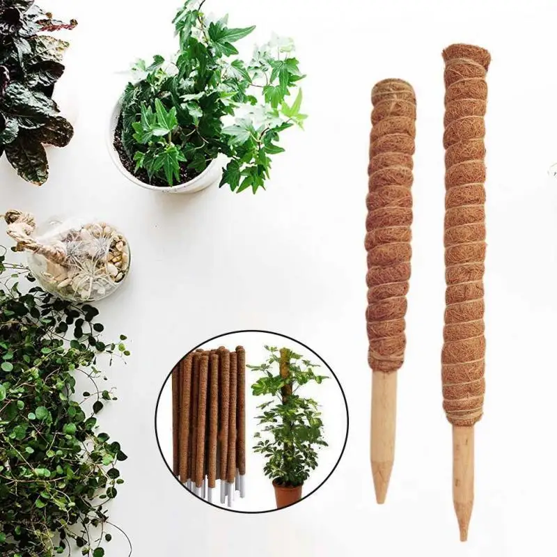 1Pc 30/50cm Plant Climbing Coir Totem Pole Safe Gardening Coconut Stick for Climbing Plants Vines and Creepers Plant Support