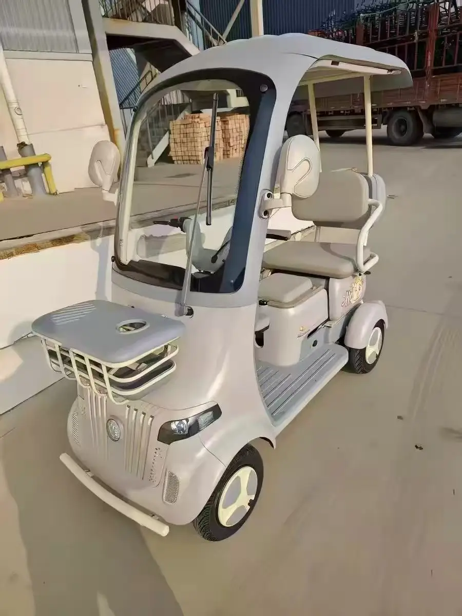 Factory Hot Selling New Style Closed Electric Tricycle for Elderly Ladies Mobility 1000W 3-Passenger 50-70km Range Household