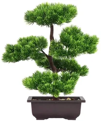 Japanese Pine Bonsai Plant for Home Decoration, Potted House Plants, Desktop Display, 33 cm in Height