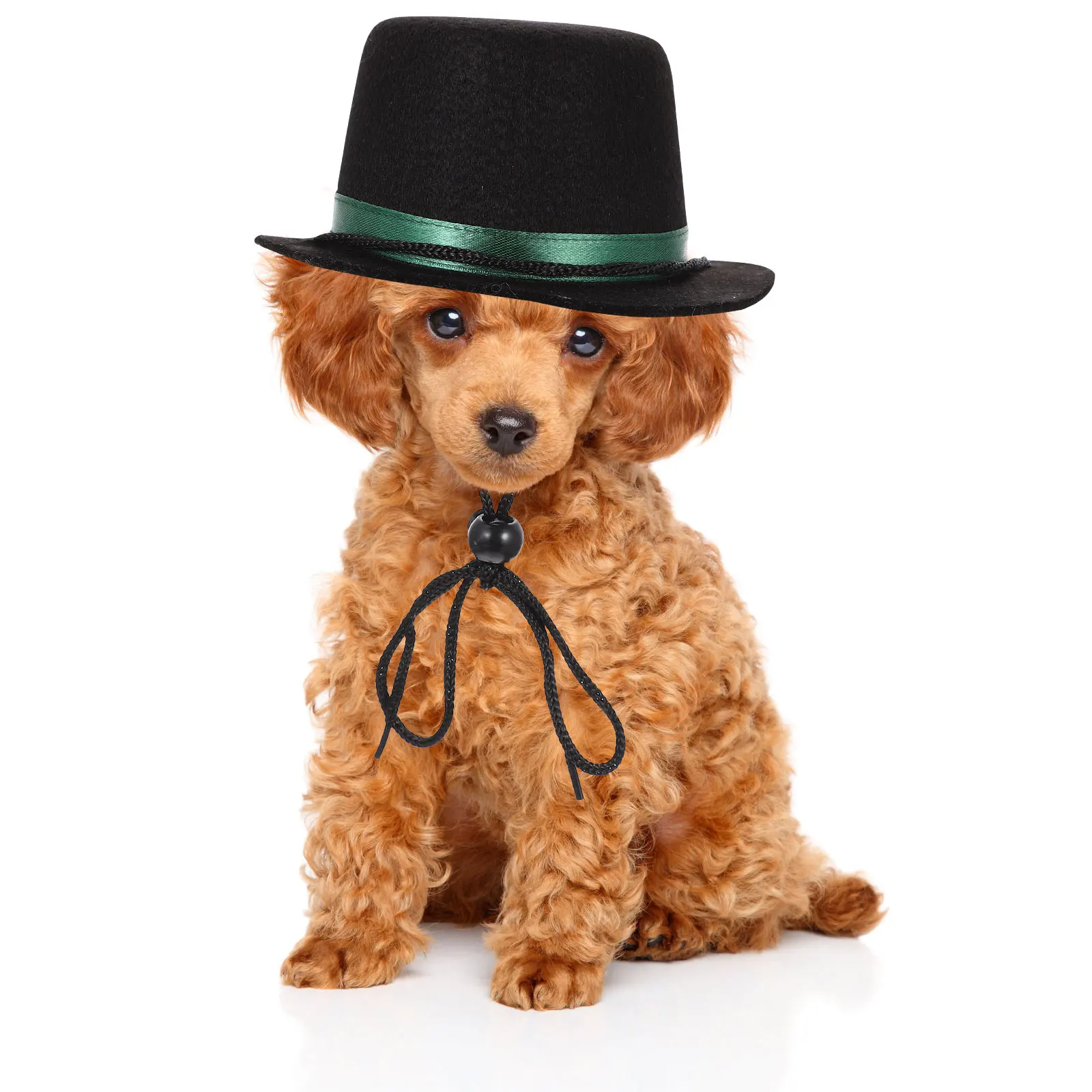 

Party Pet Hat Combo Trendy Dog Cat Costume Hat Adjustable Fit for Festive Events Special Occasions Grooming Supplies