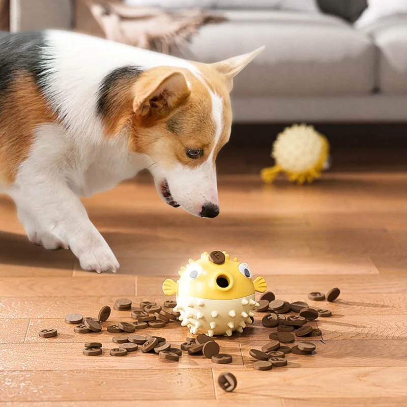 Jouet coule résistant aux morsures pour chiens, jouets à mâcher pour animaux de compagnie, livres de dents, nourriture qui fuit drôle, accessoires pour chiens