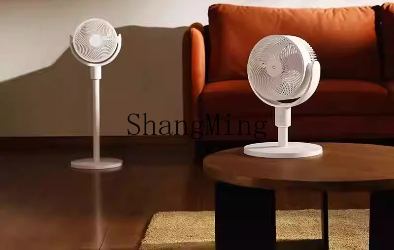 ZYY ventilatore per la circolazione dell'aria domestico silenzioso conversione di frequenza CC ventilatore da pavimento efficienza energetica di prima classe