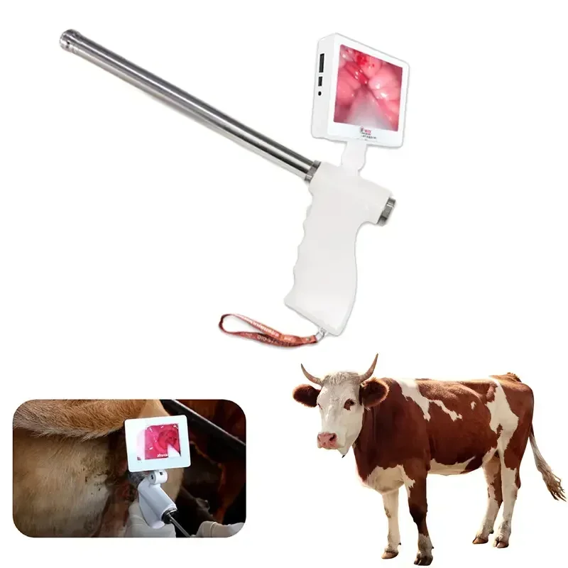 Insemination For Cow Cattle Veterinary Insemination Instrument Professional AI Visual Insemination Endoscope Artificial