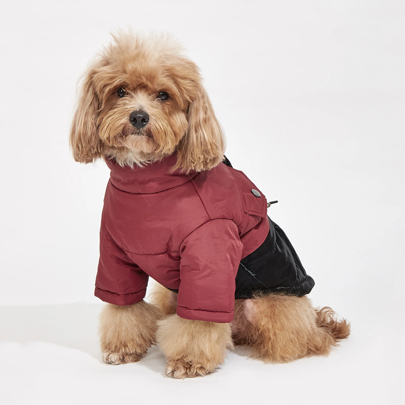 Winter Dog Clothes Cold Resistant Warm Pet Jacket Small Medium Dog Outdoor Windproof Coat