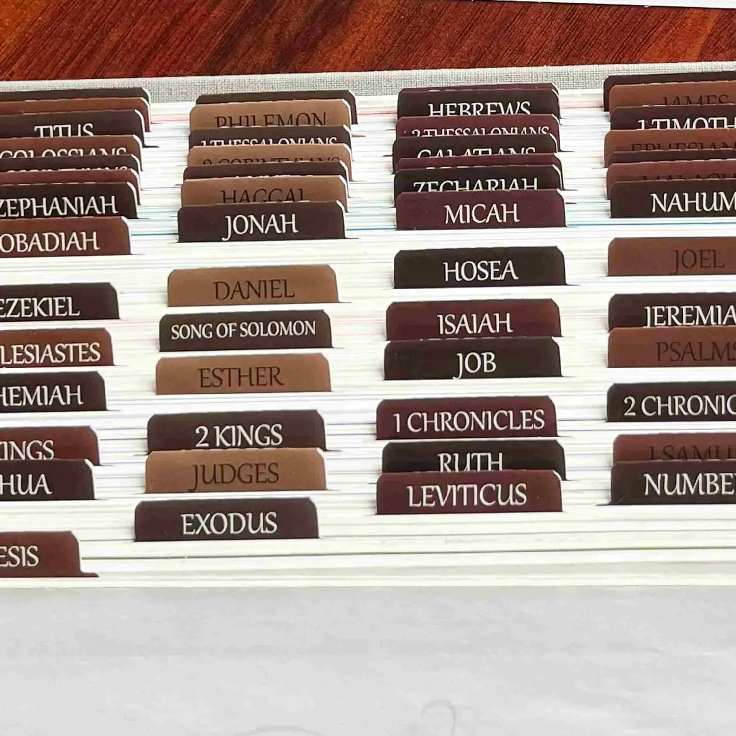 

Reposition Laminated Bible Tabs, Large Print Stickers, Easy to Read & Apply Bible Tabs for Women & Man (Earthy Brown)