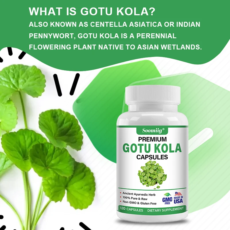 GOTU KOLA + 은행잎 캡슐, 항산화제가 풍부한 캡슐, 뇌에 영양 공급, 메모리 개선