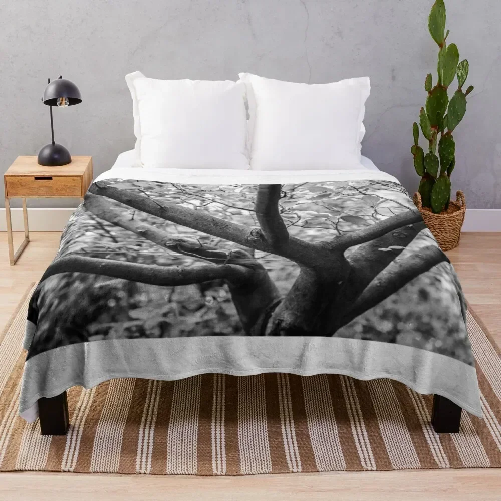 

A forest Throw Blanket Fade Resistant Durable Throw Blanket