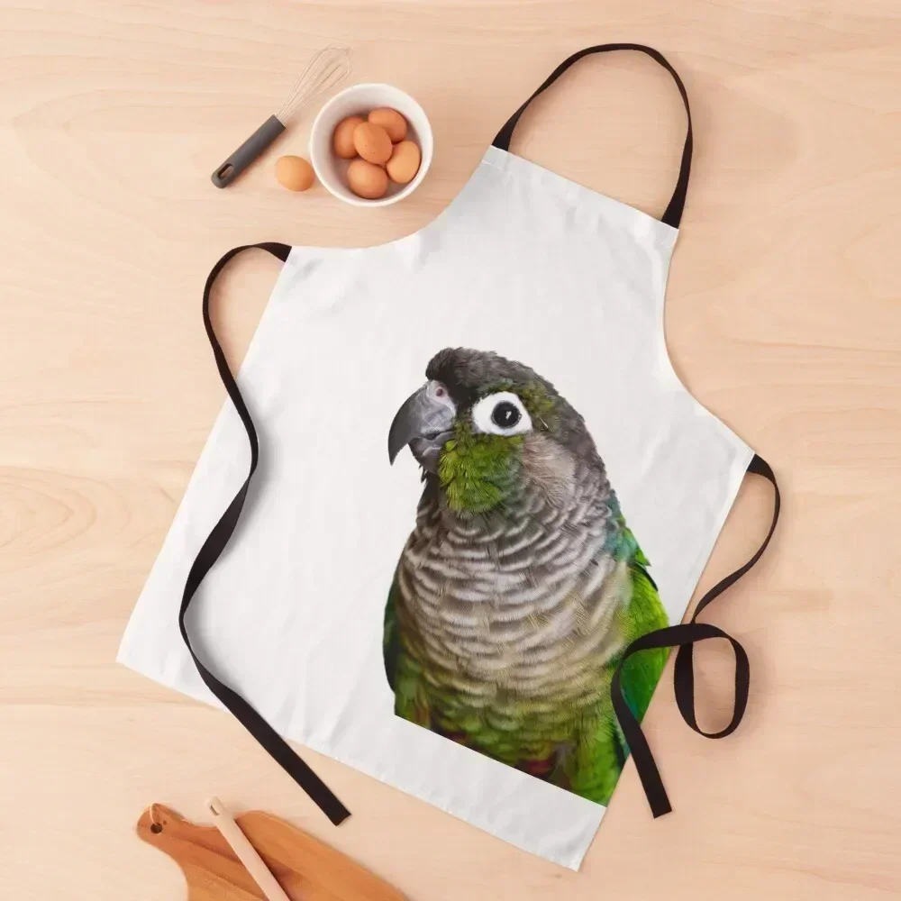 

Pyrrhura molinae Apron Waterproof women Women's Dress Men gift Kitchen Kawaii Accessories Apron