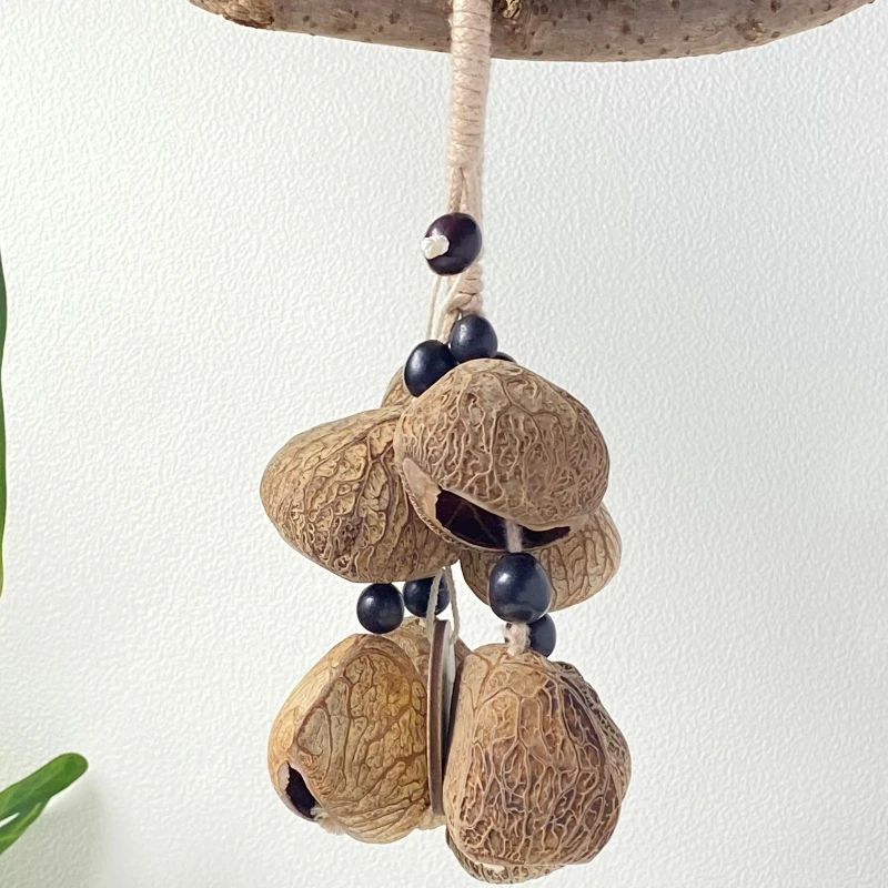 Nutshell Hand Cranked Bell Yoga Handheld Hanging Chime Portable Sound Therapy Hand Bell Accompany Bells Decoration Instrument
