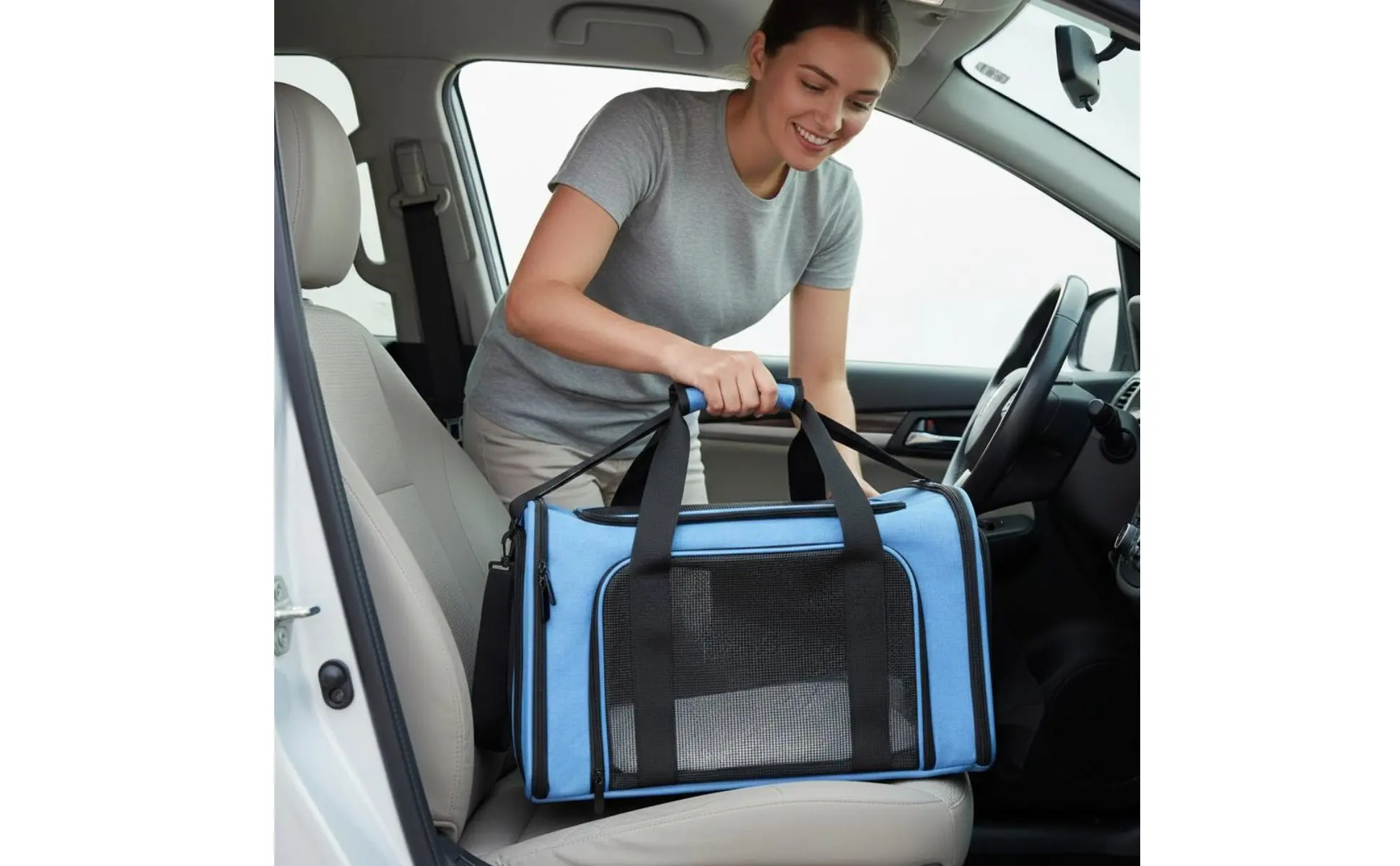 Mesh Pet Travel Carrier Foldable Design Soft Sided Pet Carrier Small Dog Travel Tote Lightweight Multiple Openings for Car Rides