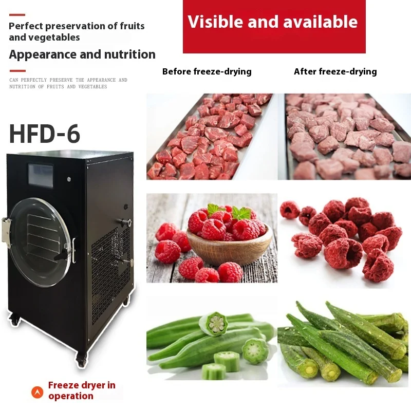 Small Vacuum Dryer For Home Use, Fruits, Vegetables, Pet Food, Freeze Drying Machine, Laboratory Instrument