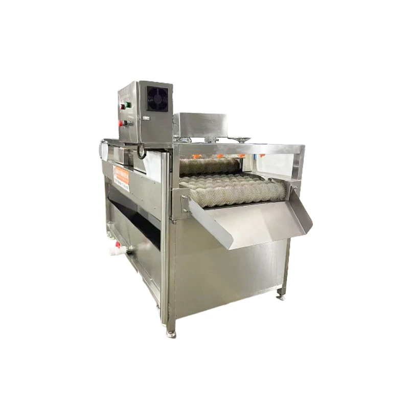 Customized Sugarcane Cleaner Vegetables and Fruit Processing  Machine Sugar Cane Cleaning