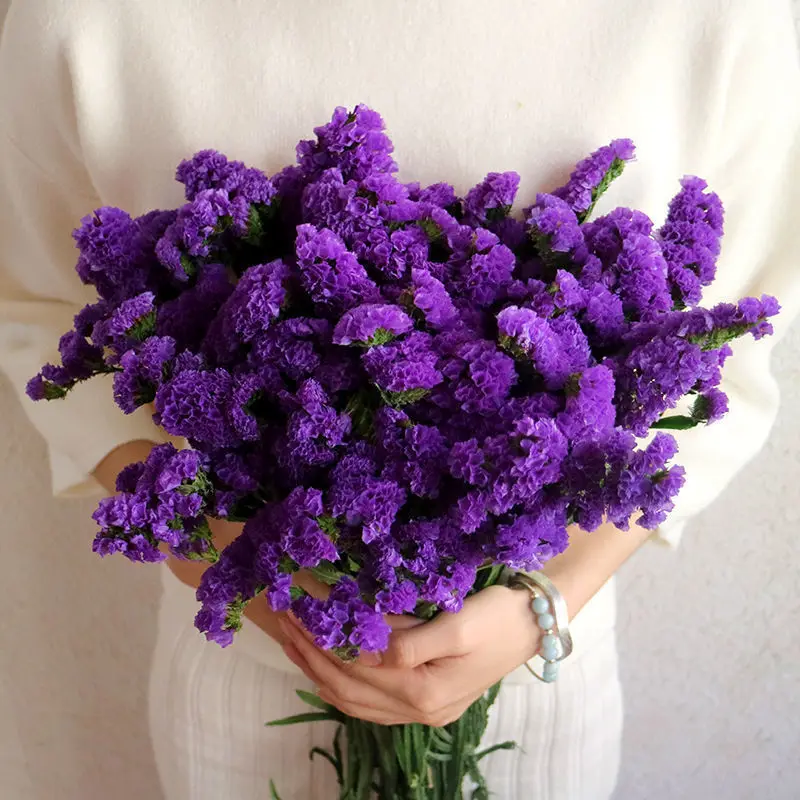 

100g Natural Forget-Me-not Flower Dried Sea Lavender Bouquet Artificial Flower for Arrangements,Home,Wedding Decor DIY Mum Gift