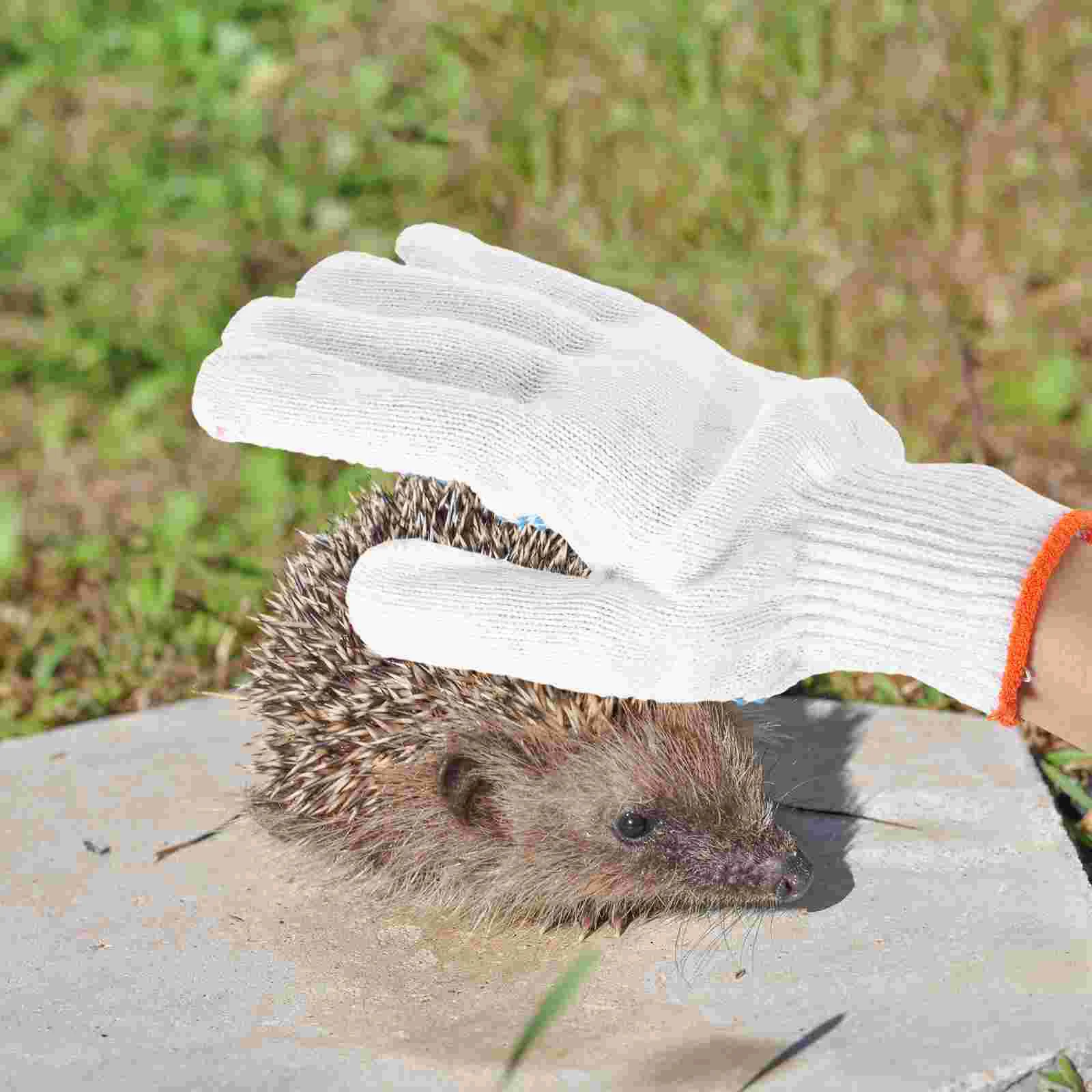 

Animals Handling Protection Gloves Anti Pet Bite Anti-bite Grooming Guinea Pig Anti-scratch