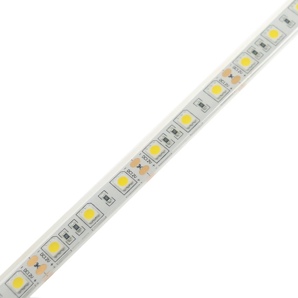 IP68 su geçirmez LED şerit ışıkları SMD5050 12V/24V RGB led bant bahçe dekor için tüp lamba sualtı açık LED ışıkları kırmızı/mavi