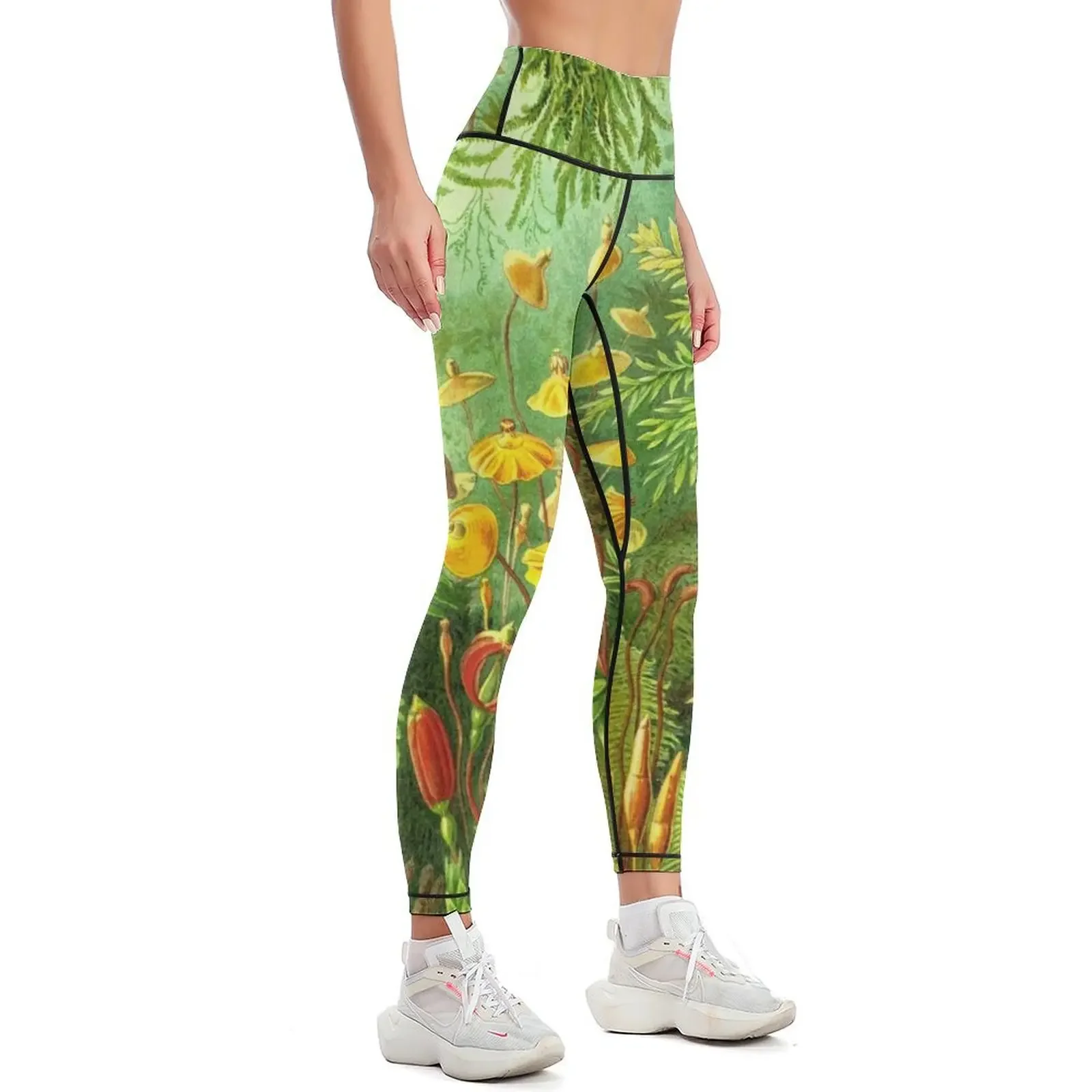 Moss - Ernst Haeckel Leggings trousers for fitness active wear Female legging pants Womens Leggings