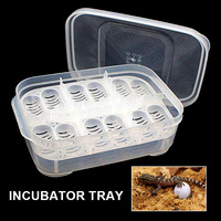 New 12 Grid Mini Automatic Digital Egg Incubator Tray Chicken Duck Egg Hatcher