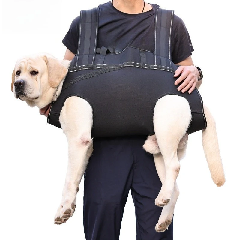 Pet Backpack Medium and Small Dog Backpack Multifunctional Outdoor Bag Walking Stretcher Disability Assistance Dog