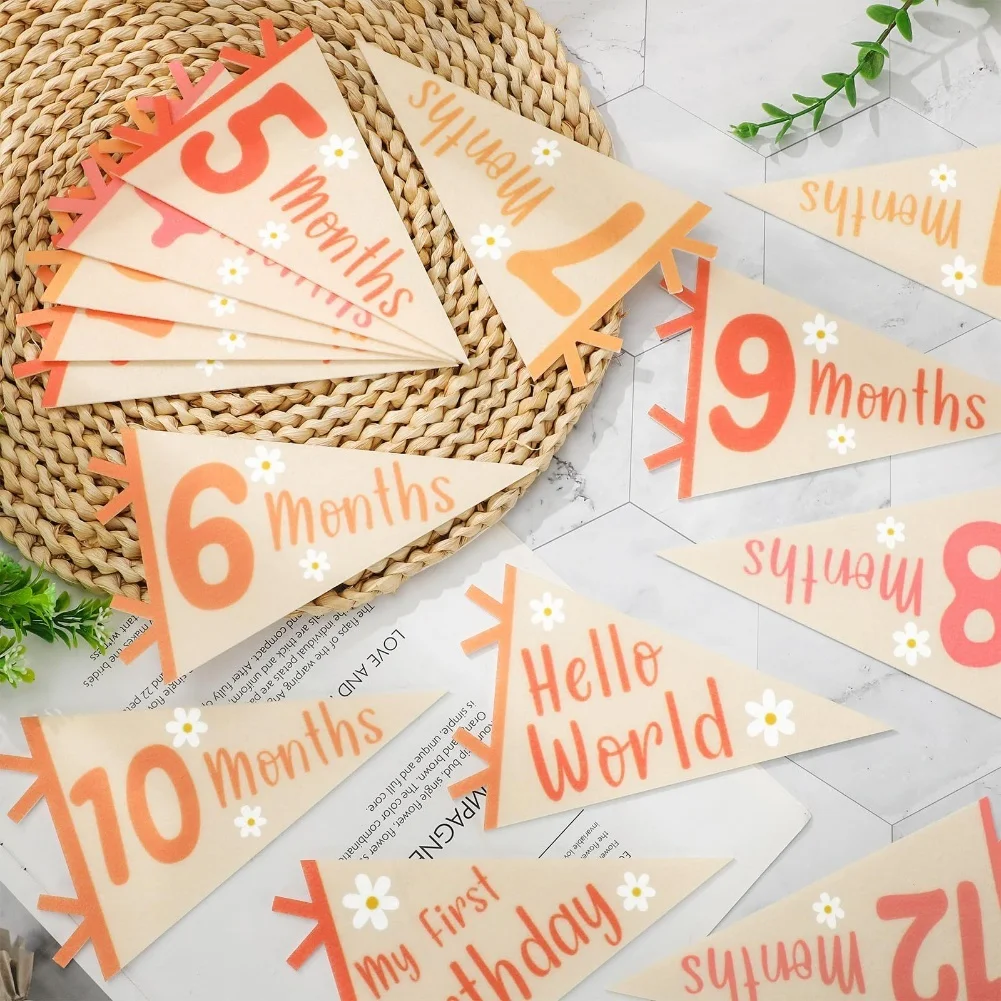 14 Pcs Baby Milestone Pennant Banner Set: Celebrate Every Month's Joy Home Crafts Supplies Home Decorations