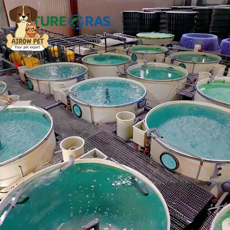 AIROW Saltwater Fiberglass pp Fish Breeding Pond Aquaculture Fiber Freshwater Shrimp Farming tank for Sale