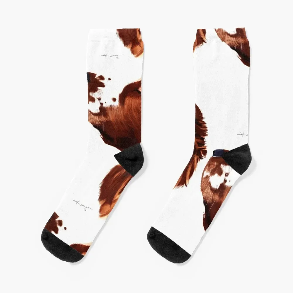 Welsh Springer Spaniel Art Socks custom sports designer brand luxe Socks Ladies Men's