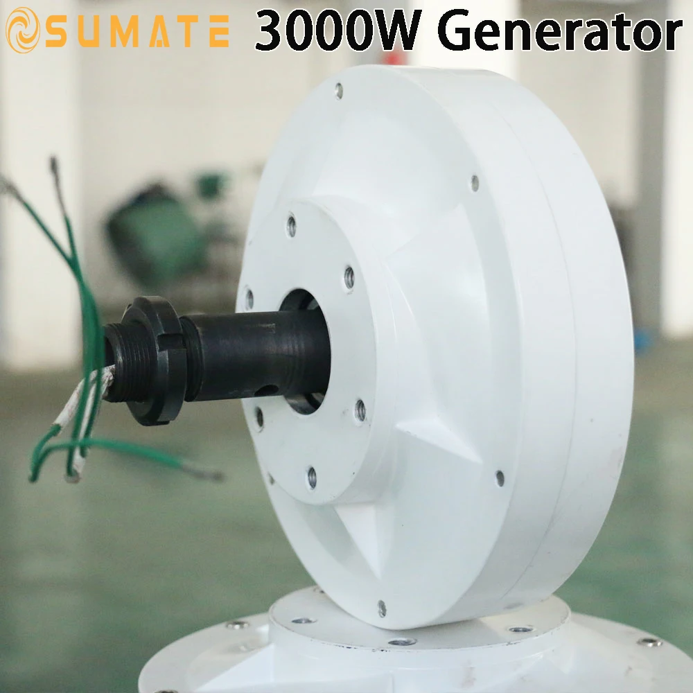 Vertical Axis 3KW 12V 24V 48V Coreless Rare Earth Permanent Magnet Generator Low RPM 3000W Alternator Free Energy Dynamo