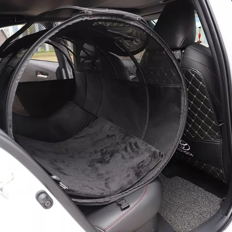 Car cat nest cat cage dog car cage out large golden retriever large car dog cage
