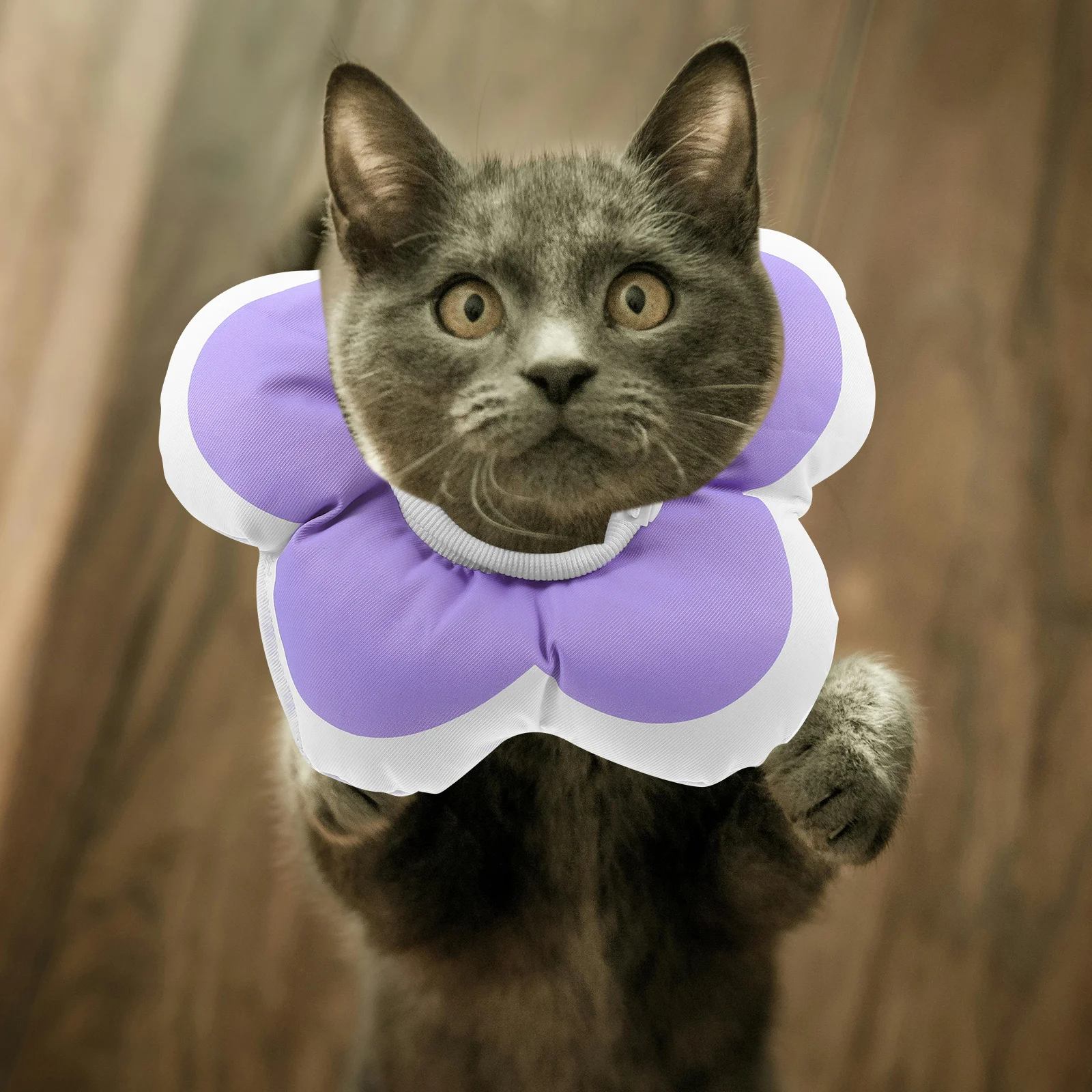 

Sunflower Soft Recovery Collar Waterproof Cone for Cats Dogs After Surgery Protective No Lick Pet Neck Guard Soft Cat Collar