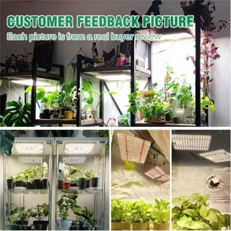 Full Spectrum LED Grow Light LM281B Diode LED Sunlike Quantum Grow Lamp For Greenhouse Hydroponic Plant Growth Lighting