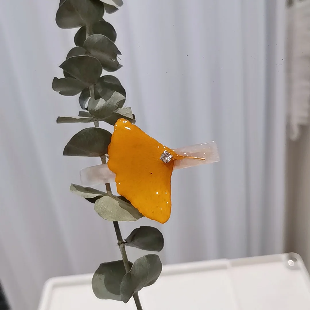 3240 Wholesale Handmade Ginkgo Biloba Real Dried Flower Specimen Hair Accessories Duckbill Clip Creative Christmas Birthday Gift