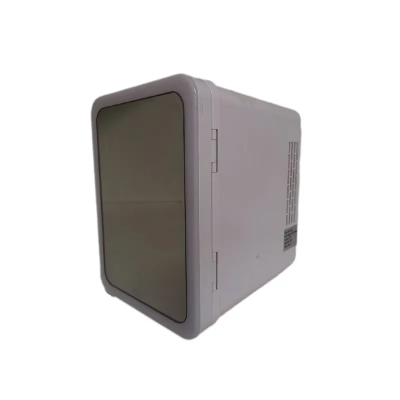 Portable Mini Refrigerator 4L Mirror Fridge Small Cooler Box DC 12V 24V Thermoelectric Fridge