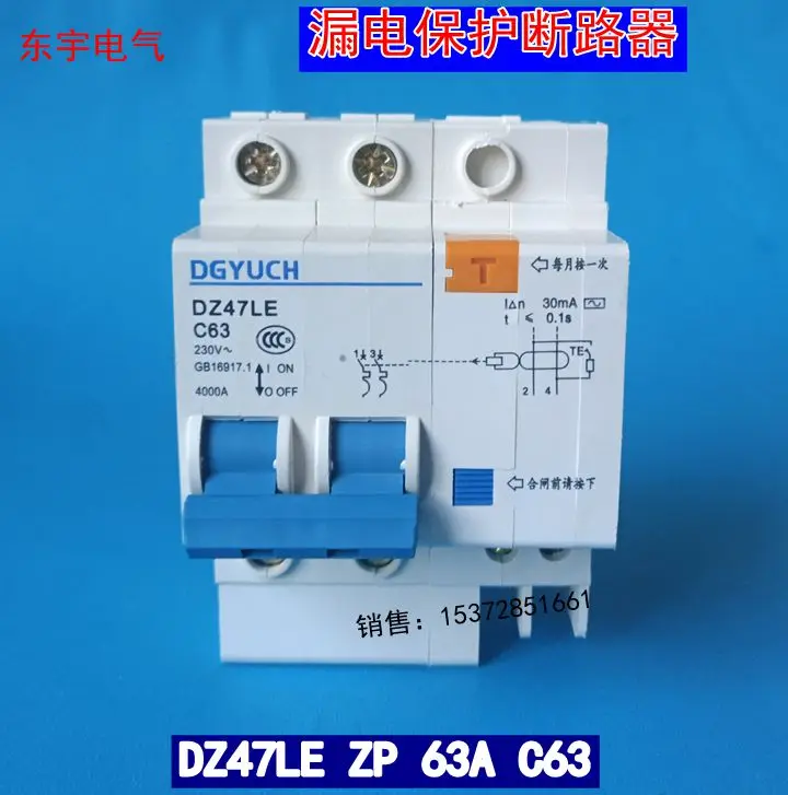 Circuit Breaker Switch Protection Air Switch DZ47LE 2P 63A Two Pole Leakage Circuit Breaker