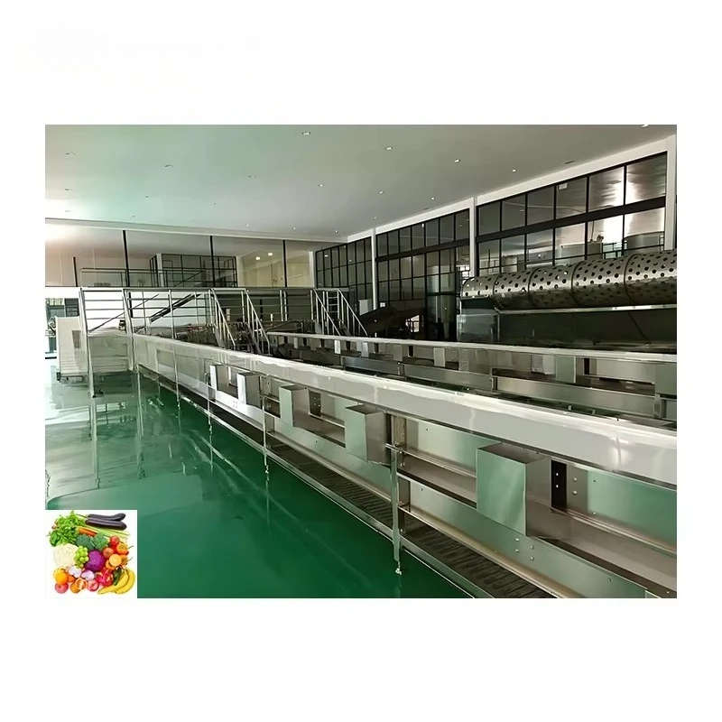 Complete automatic frozen processing line machinery fruit and vegetable disinfecting fruits tryer machine