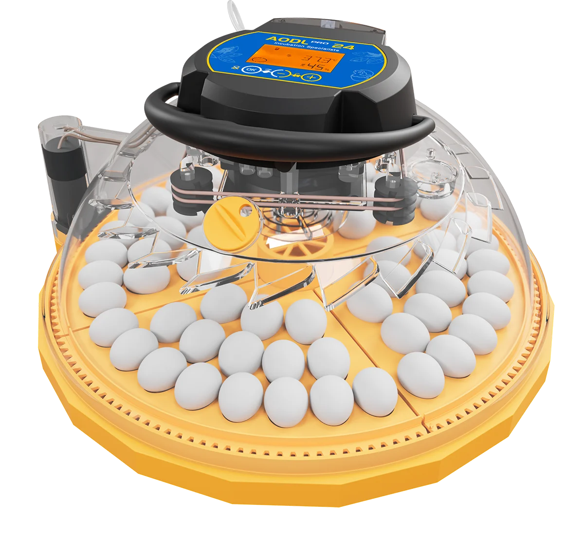 CHKJ-2025NEW「高孵化率全自動孵卵器（家禽用）、家庭用小型自動孵卵器」