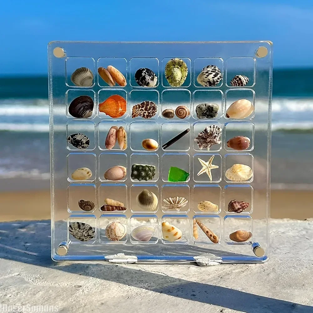 Clear Acrylic Magnetic Seashell Display Box Storage Box Jewelry Nail Display Cases Container Organizers for Home Decoration