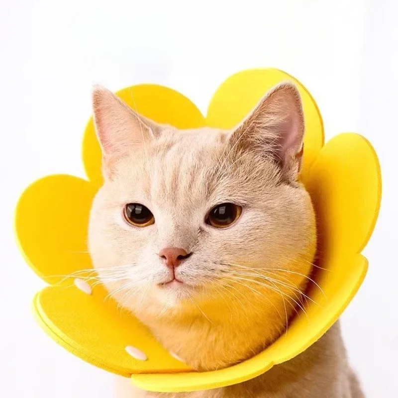 Cat Sterilization Anti-licking Collar Headgear Dog Neck Pet Supplies