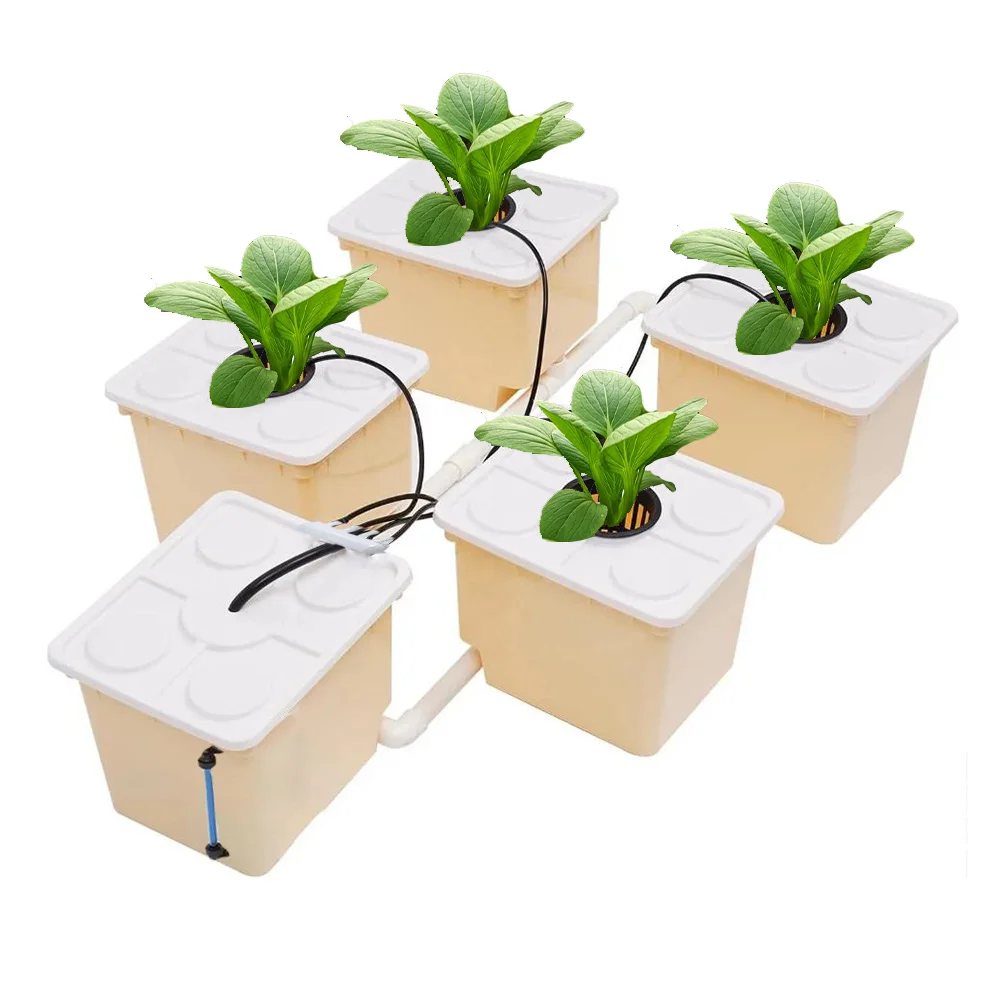 2025 أنظمة الزراعة المائية من الصين لمجموعة دلو الزراعة المائية المباشرة التجارية لزراعة الخضروات