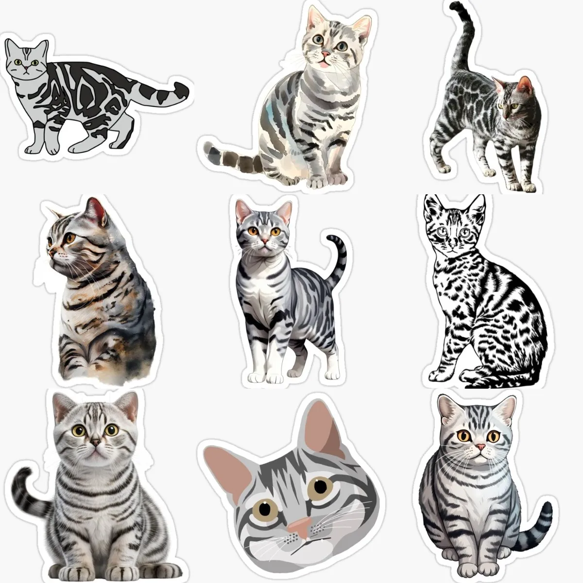 American Shorthair Cat Cute Pets PVC Waterproof Stickers for Decorate Fridge Window Wall Car Van Bicycle Helmet Decal