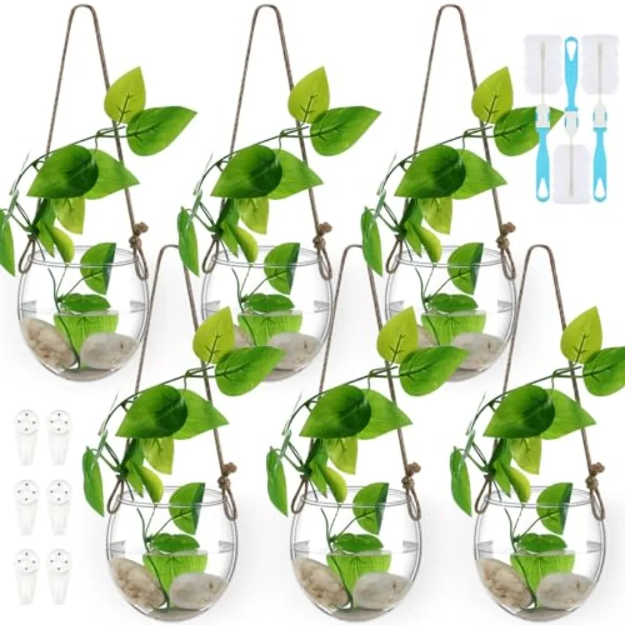 

6 Pcs Wall Hanging Planter Glass Plant Pot Water Terrarium Containers Wall Vases for Flowers Air Hydroponic Propagation Glass P
